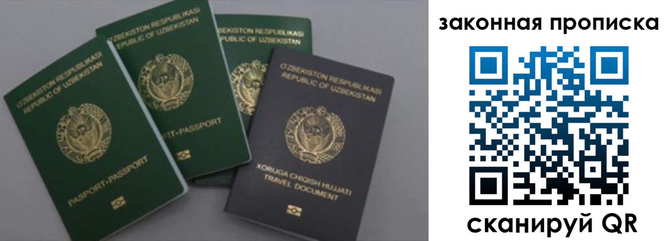 временная регистрация для школы в Торжоке